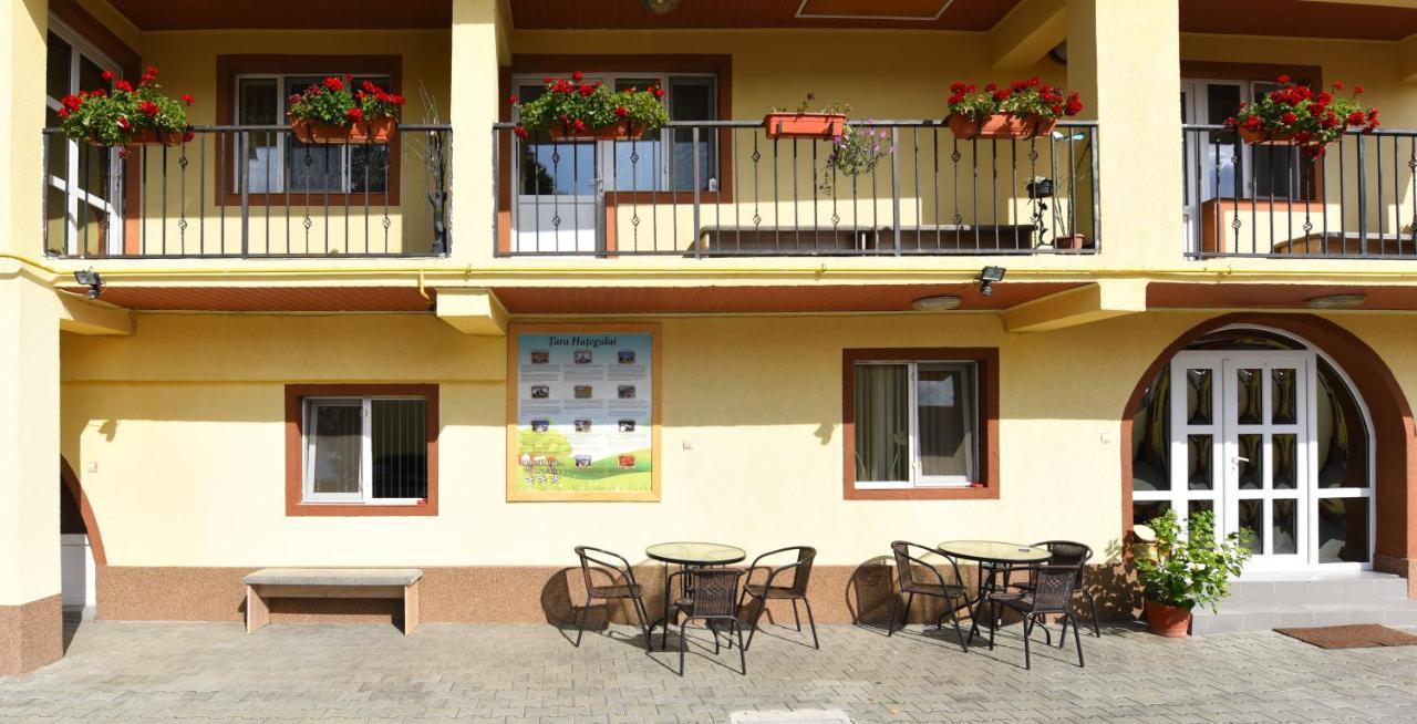 Pensiunea Mama Lia Haţeg Exterior foto