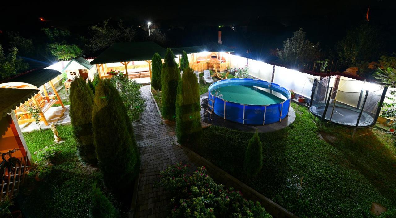 Pensiunea Mama Lia Haţeg Exterior foto